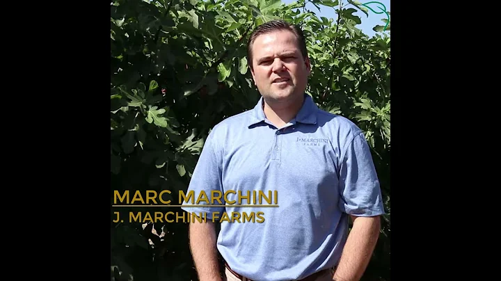 J Marchini Farms History