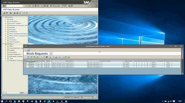 Excel SAP Work Request Creator and Uploader