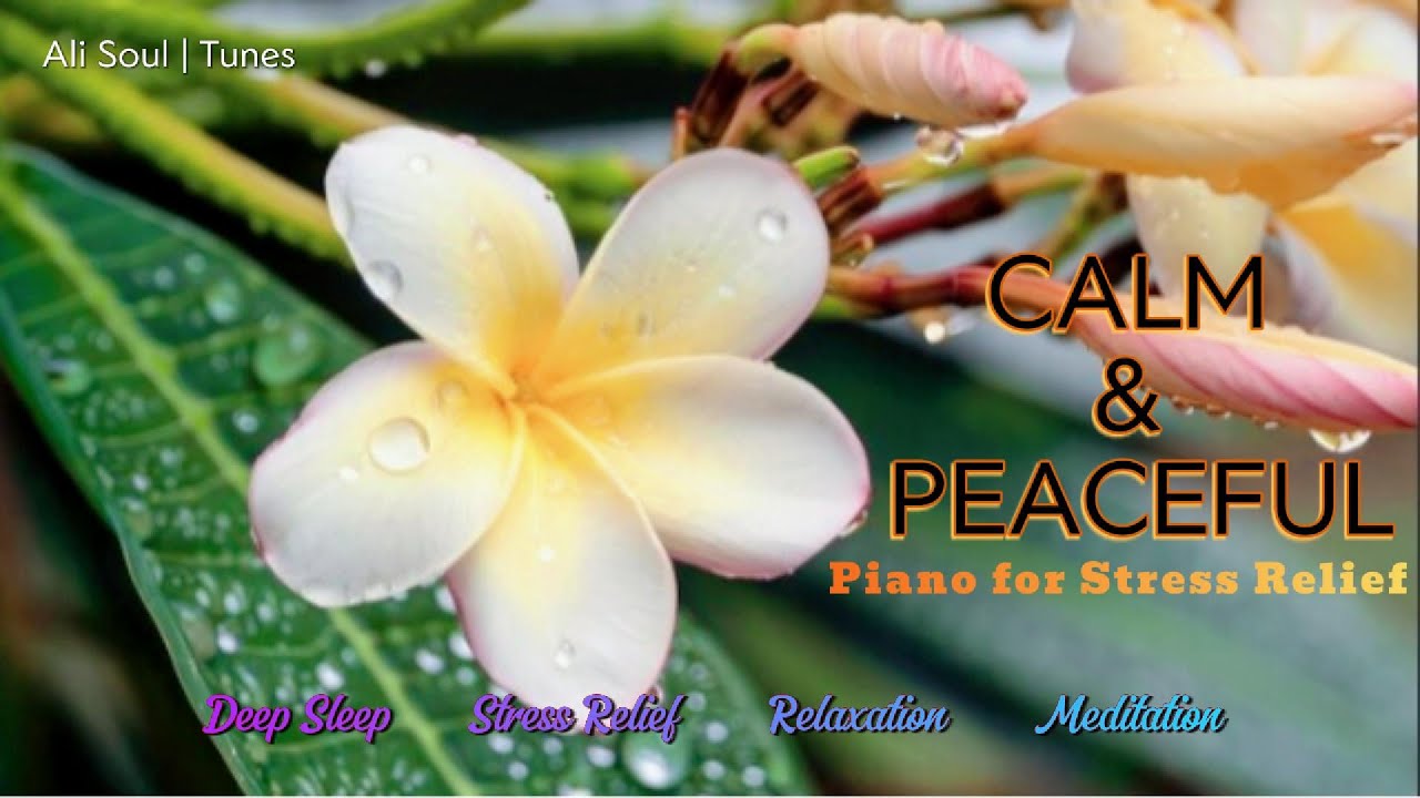 Calm Piano Music for Relaxation & Inner Peace | Ali Soul | Tunes - YouTube