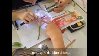 Lab Fiore 1