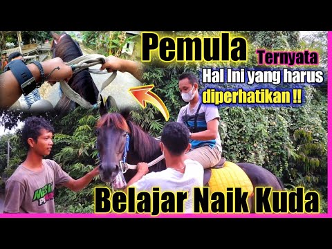 Video: Belajar Menunggang Kuda untuk Pemula