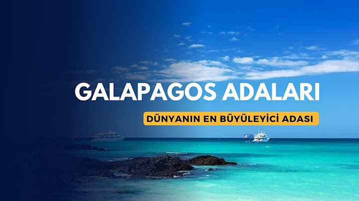 Galapagos Adaları: Dünyanın En Büyüleyici Adası