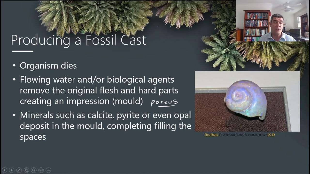 EP12 Mould And Cast Fossils YouTube