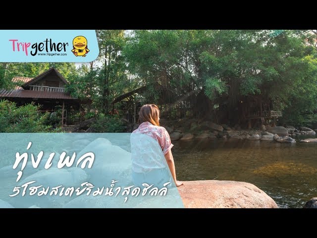 5 ที่พักติดริมน้ำทุ่งเพล จันทบุรี บรรยากาศสุดชิลล์ | tripgether - YouTube