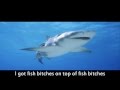 Great white shark vs killer whale  epic rap battles of animals