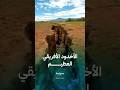 الأخدود الأفريقي العظيم أكبر صدع جيولوجي في العالم