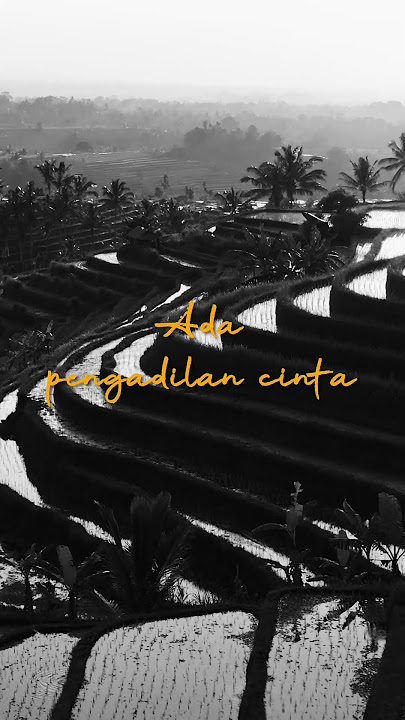 Leo Waldy - Pengadilan Cinta #shorts  #dangdut