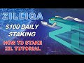 How much Zilliqa you need to Earn $100 per day Staking (Zil Step by Step Tutorial)