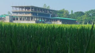 ভিডিও করে মাঝে মধ্যে ধান শাশে আসলে আমার প্রিয় জিনিস এগুলা, ❤️🥰😎😎