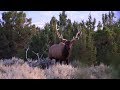 THE FUNNEST DAY OF ELK HUNTING EVER - EP 40 - LAND OF THE FREE