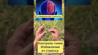 Тренируем мозг и повышаем его силу 🧠 #упражнения