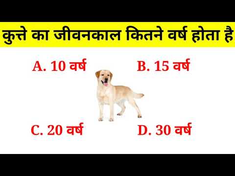 कुत्ते का जीवनकाल कितने वर्ष होता है ? || GK for all competitions exam ||