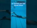 حركة الرجل الصحيحة مع الزعانف القصيرة 