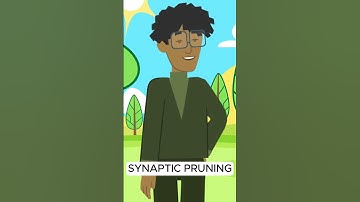 Trim Your BRAIN 🧠 Synaptic Pruning