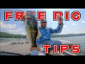 Best baits to free rig for spring bass