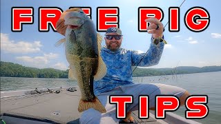 Best Baits To 'Free Rig' For Spring Bass!