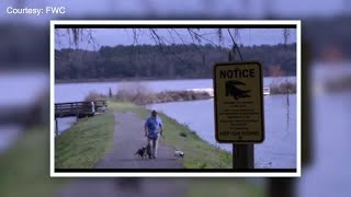 WalkingClub101 Alligator and Snake Safety