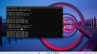 Ping public and private IPs in cmd