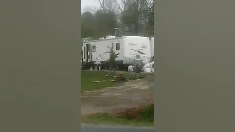 tweeking trees