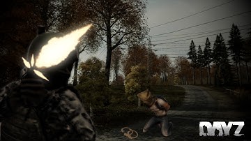"Held Hostage" | DayZ