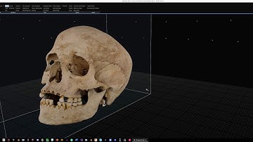 3D scanned skull Medelpal with Photogrammetry and Reality Capture