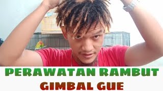 Rambut Gimbal Pendek My Dreadlocks Maintenance