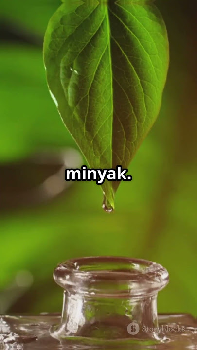 Rahasia Ilmiah di Balik Aroma Hujan: Kisah Bakteri, Tanah, Senyawa Organik yang Harum #factshorts