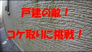 【DIY】家の外壁についたコケ除去！