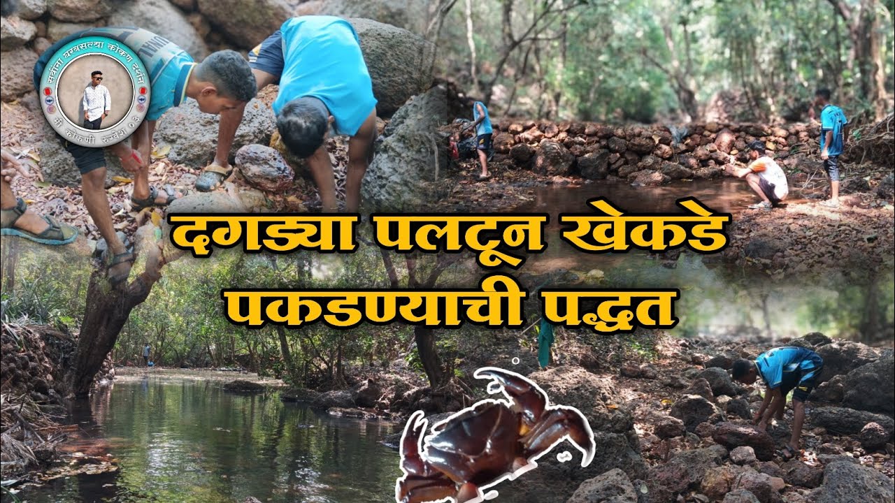 कोकणात असा पकडतात खेकडे🤔 || खेकडा पकडायची देशी पद्धत 🦀🔥|| #Khakda Konkan