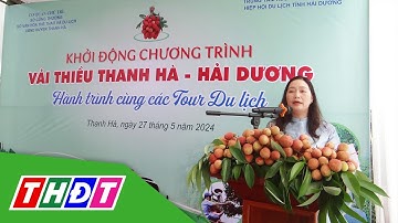 Xúc tiến tiêu thụ vải thiều Thanh Hà gắn với các tour du lịch | THDT