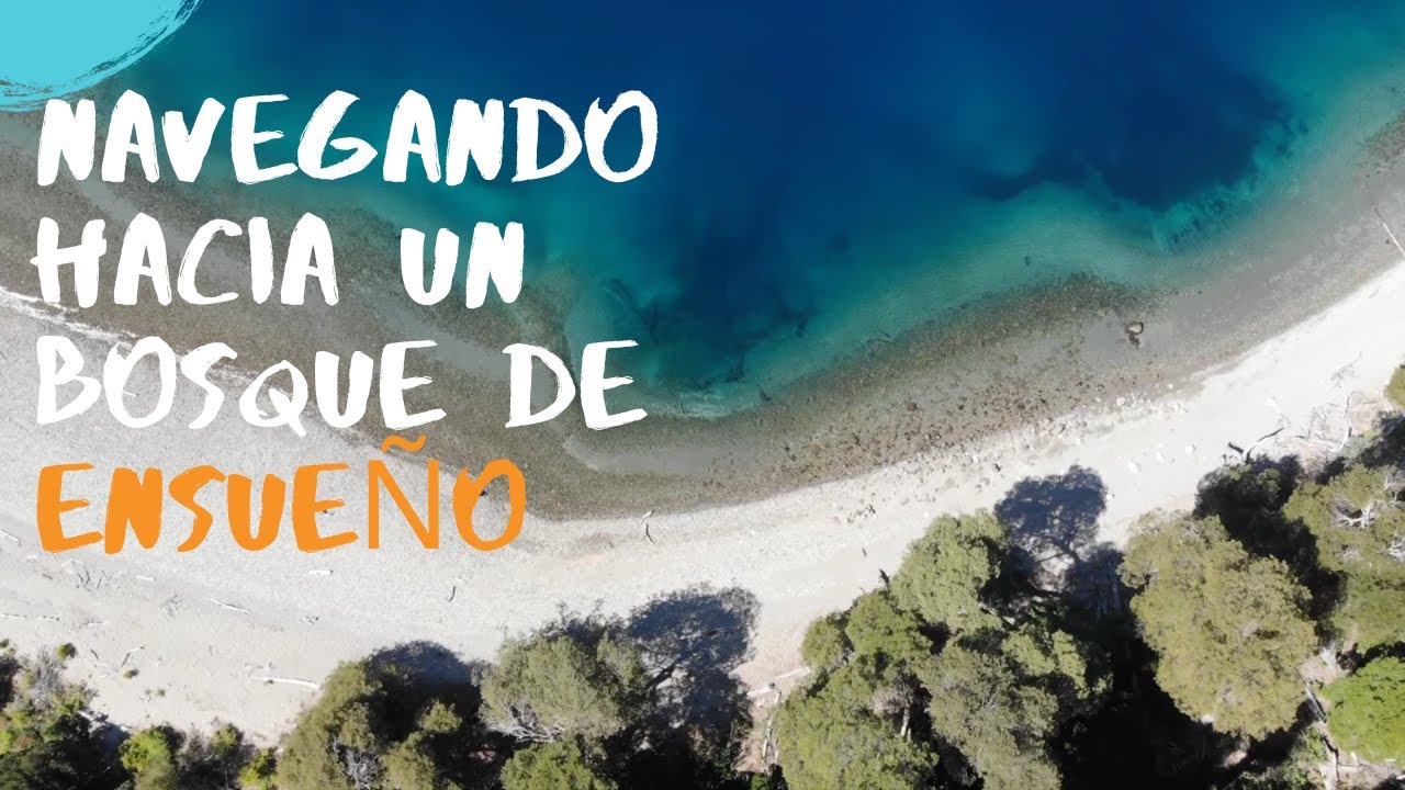 NAVEGANDO hacia un bosque de ensueño (12)