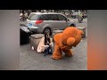Lovely little bear everyday, TRY NOT TO LAUGH &amp; Funny Pranks Compilation - 2020#04