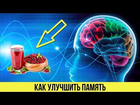 Как улучшить ПАМЯТЬ Самые ПРОСТЫЕ НАПИТКИ для улучшения памяти и РАБОТЫ МОЗГА Советы для здоровья