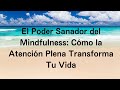 El Poder Sanador del Mindfulness: Cómo la Atención Plena Transforma Tu Vida