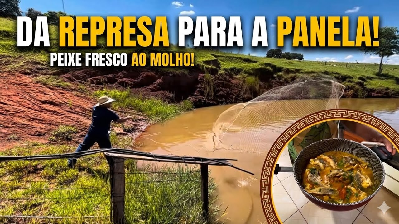 Fizemos peixe ao molho com tilápias fresquinhas diretamente da nossa represa