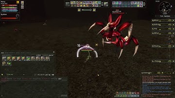 Ryzom Solo Hunt: Nymton