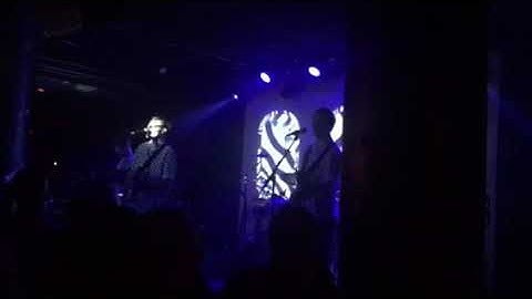 Django Django said this one is 2 1/2 weeks old