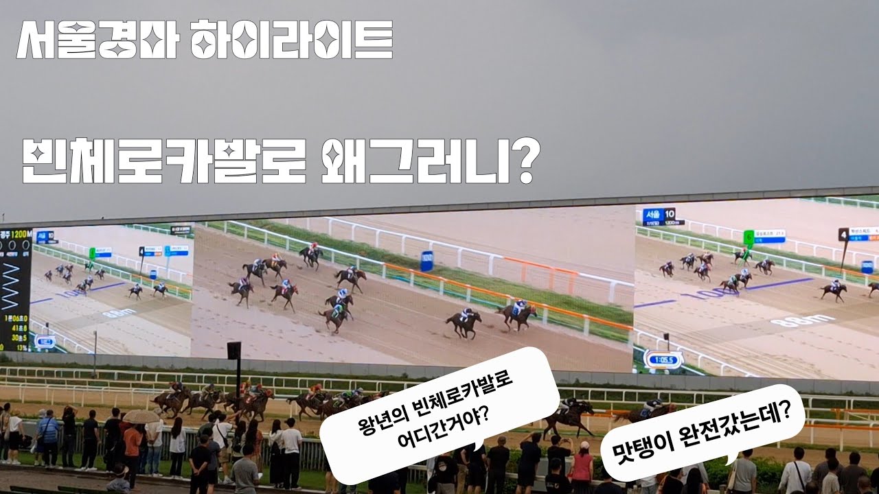 단식1위마가 힘도못써보고 맥없이 아작나는구나~(일요경마 하이라이트)