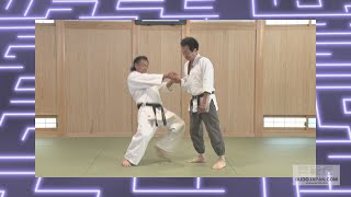 DVD　保江教授の合気テクニカル　Vol 1　Vol 2　２巻セット DVD2巻セット 『保江教授の合気テクニカル』（通販限定）