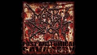 Savage - Mortal Decay