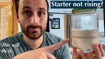 How to Fix Your Sourdough Starter When It WON
