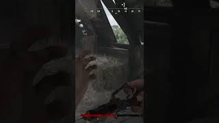 Decent Frontier 73C Headshot (Hunt: Showdown 1896) | Paige