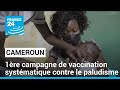 Lutte contre le paludisme  le cameroun lance sa 1re campagne de vaccination systmatique