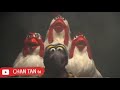 CHAN TAN Tv CHAN TAN Tv