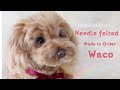 わこちゃん　A process of making a dog with wool felt　 [Made to order] Toypoodle