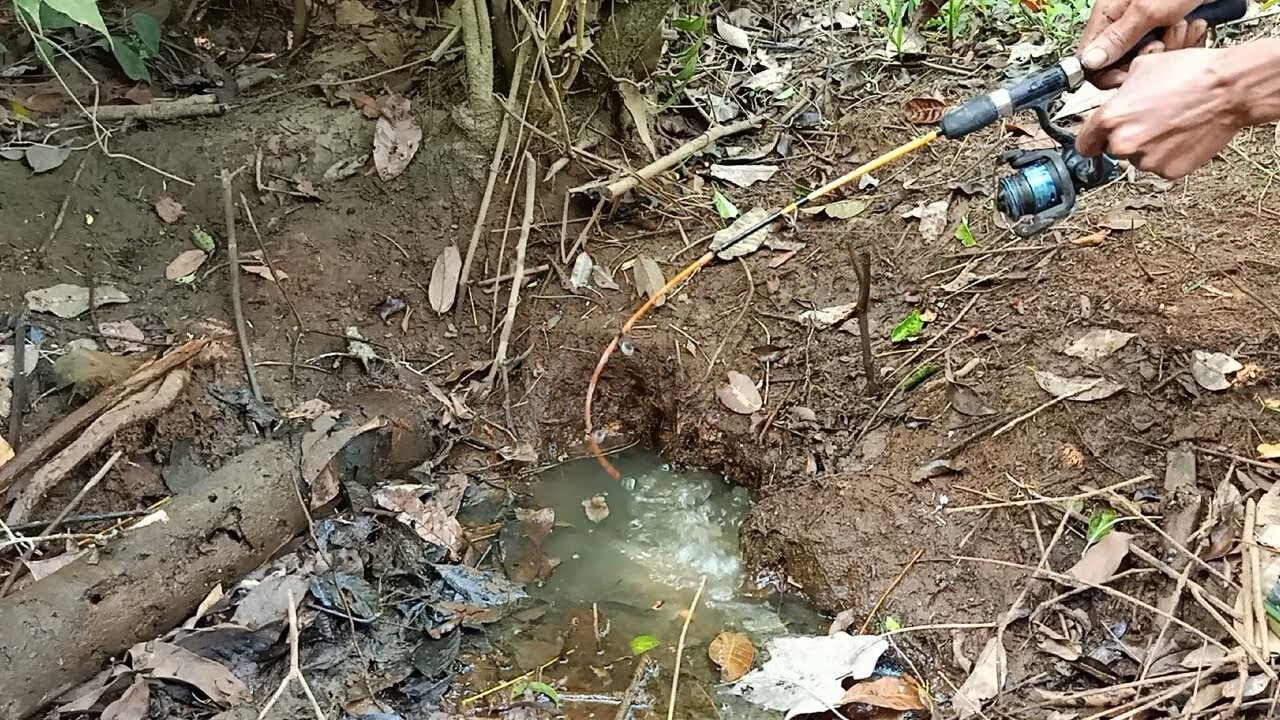 PEMANCING IKAN LEMBAT - mancing di lubang seperti ini memang bikin greget