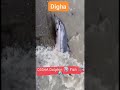DIGHA Dolphin At Digha