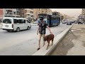 صدام بين كوڤو وكلب شارع اثناء التمشية ! | Mahmoud And Kovu محمود و كوڤو