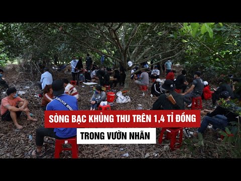 Video Cận cảnh bắt sòng bạc khủng thu trên 1,44 tỉ đồng... - youtube
