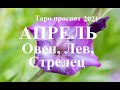 ТАРО. АПРЕЛЬ  2021. Овен, Лев, Стрелец.  Прогноз. Стихия ОГНЯ. Что будет?  Онлайн гадания.